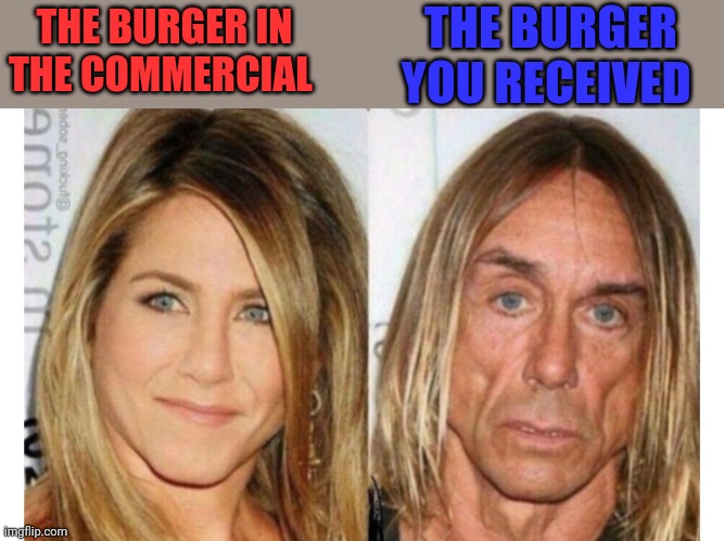 THE BURGER YOU RECEIVED; THE BURGER IN THE COMMERCIAL | image tagged in funny memes | made w/ Imgflip meme maker