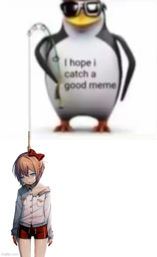 why tf i made this | image tagged in i hope i catch a good meme,blank white template,sayori hanging | made w/ Imgflip meme maker