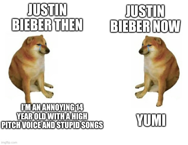 Cheems vs Cheems | JUSTIN BIEBER NOW; JUSTIN BIEBER THEN; I’M AN ANNOYING 14 YEAR OLD WITH A HIGH PITCH VOICE AND STUPID SONGS; YUMI | image tagged in cheems vs cheems,memes,justin bieber,canada,yummy,doge | made w/ Imgflip meme maker