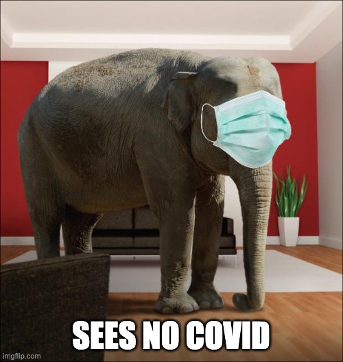 Elephant In The Room | SEES NO COVID | image tagged in elephant in the room | made w/ Imgflip meme maker