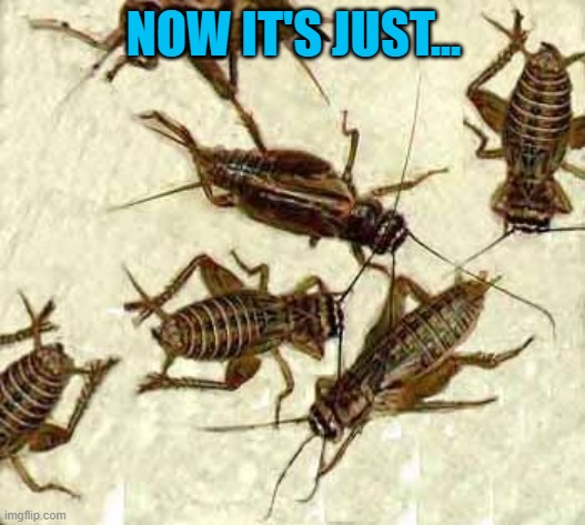 Crickets | NOW IT'S JUST... | image tagged in crickets | made w/ Imgflip meme maker