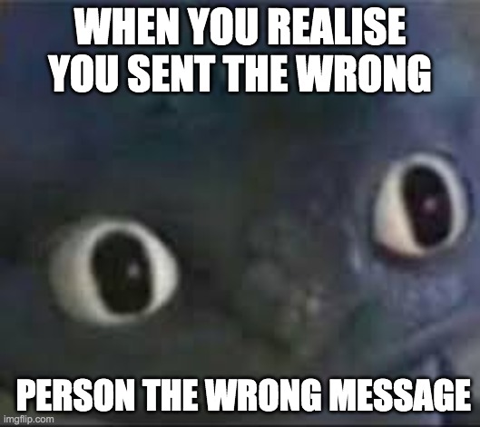 if you like this give a like or a comment :) | WHEN YOU REALISE YOU SENT THE WRONG; PERSON THE WRONG MESSAGE | image tagged in toothless _ face | made w/ Imgflip meme maker