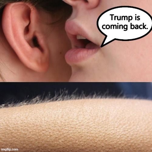 Trump returns very soon. | Trump is coming back. | image tagged in trump reinstated | made w/ Imgflip meme maker