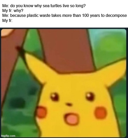 hmmm | Me: do you know why sea turtles live so long?
My fr: why?
Me: because plastic waste takes more than 100 years to decompose
My fr: | image tagged in surprised pikachu | made w/ Imgflip meme maker