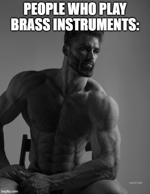 Giga Chad | PEOPLE WHO PLAY BRASS INSTRUMENTS: | image tagged in giga chad | made w/ Imgflip meme maker