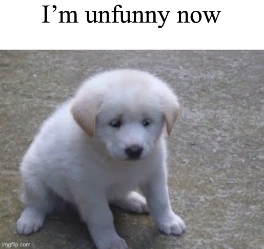 Sad, sad doggo :'( | I’m unfunny now | image tagged in sad sad doggo ' | made w/ Imgflip meme maker
