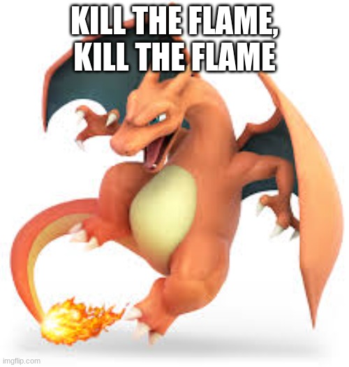 The fers Charizard | KILL THE FLAME, KILL THE FLAME | image tagged in the fers charizard | made w/ Imgflip meme maker