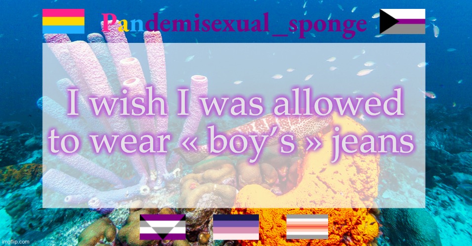 I’m going to try something sneaky the next time I go clothes shopping | I wish I was allowed to wear « boy’s » jeans | image tagged in pandemisexual_sponge temp,demisexual_sponge | made w/ Imgflip meme maker