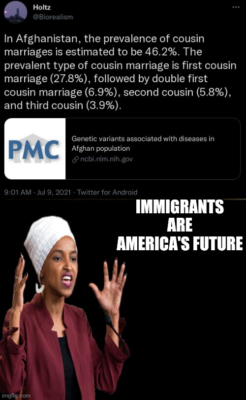 No, They Aren't. | IMMIGRANTS ARE AMERICA'S FUTURE | image tagged in immigration,illegal immigration,illegal immigrants,no thanks | made w/ Imgflip meme maker