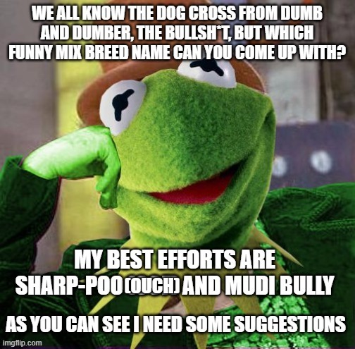 Mixoma-tosa-is | (OUCH) | image tagged in funny dogs,condescending meme war champion kermit | made w/ Imgflip meme maker