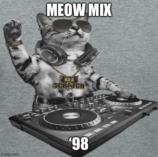 Meow Mix ‘98 | MEOW MIX; ‘98 | image tagged in cat | made w/ Imgflip meme maker
