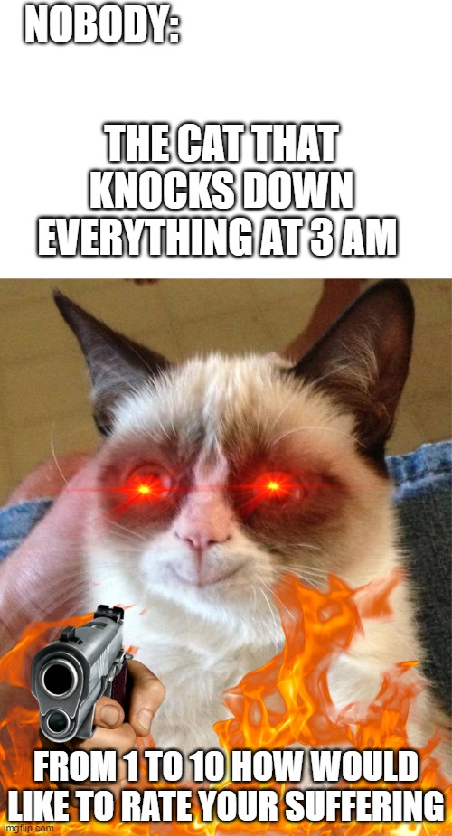 :) |  NOBODY:; THE CAT THAT KNOCKS DOWN EVERYTHING AT 3 AM; FROM 1 TO 10 HOW WOULD LIKE TO RATE YOUR SUFFERING | image tagged in memes,grumpy cat happy,grumpy cat | made w/ Imgflip meme maker