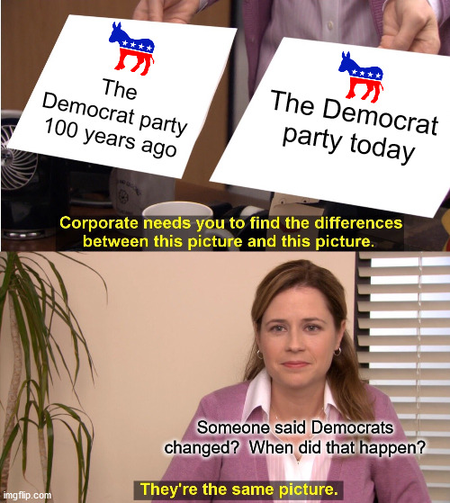 They're The Same Picture Meme | The Democrat party 100 years ago The Democrat party today Someone said Democrats changed?  When did that happen? | image tagged in memes,they're the same picture | made w/ Imgflip meme maker