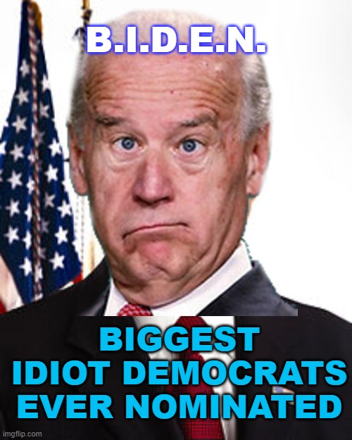 B.I.D.E.N. Biggest Idiot Democrats Ever Nominated - Imgflip