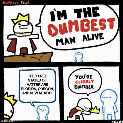 The Dumbest Man Alive | THE THREE STATES OF MATTER ARE FLORIDA, OREGON, AND NEW MEXICO. | image tagged in i'm the dumbest man alive | made w/ Imgflip meme maker
