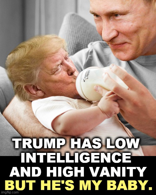 Who's Vlad's favorite little baby boy? | TRUMP HAS LOW 
INTELLIGENCE 
AND HIGH VANITY; BUT HE'S MY BABY. | image tagged in putin and his baby trump,putin,smart,trump,dumb,vanity | made w/ Imgflip meme maker