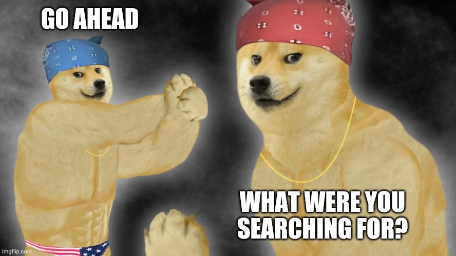 GO AHEAD WHAT WERE YOU SEARCHING FOR? | made w/ Imgflip meme maker