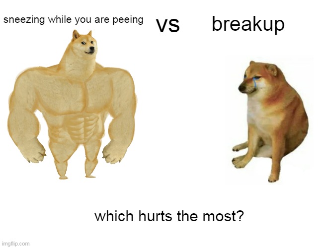 which hurts the most?? | vs; breakup; sneezing while you are peeing; which hurts the most? | image tagged in memes | made w/ Imgflip meme maker
