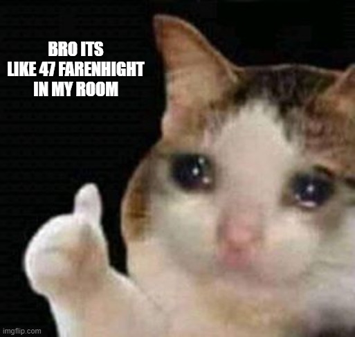 im cold af | BRO ITS LIKE 47 FARENHIGHT IN MY ROOM | image tagged in sad me thumbs up | made w/ Imgflip meme maker