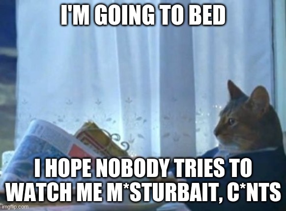 idk | I'M GOING TO BED; I HOPE NOBODY TRIES TO WATCH ME M*STURBAIT, C*NTS | image tagged in memes,i should buy a boat cat | made w/ Imgflip meme maker