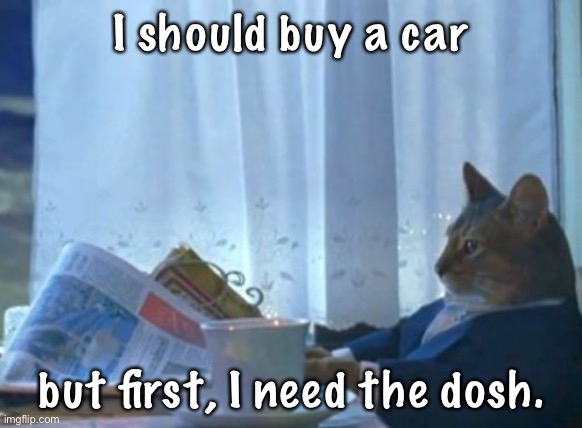 A car on here, by the way. | I should buy a car; but first, I need the dosh. | image tagged in memes,i should buy a boat cat | made w/ Imgflip meme maker
