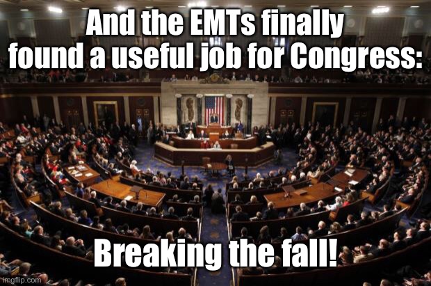 congress | And the EMTs finally found a useful job for Congress: Breaking the fall! | image tagged in congress | made w/ Imgflip meme maker