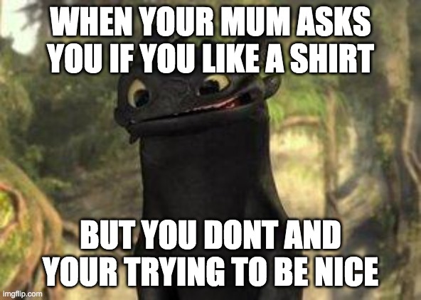 if you like this give a like and a comment | WHEN YOUR MUM ASKS YOU IF YOU LIKE A SHIRT; BUT YOU DONT AND YOUR TRYING TO BE NICE | image tagged in toothless | made w/ Imgflip meme maker