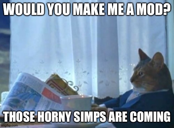 ._. | WOULD YOU MAKE ME A MOD? THOSE HORNY SIMPS ARE COMING | image tagged in memes,i should buy a boat cat | made w/ Imgflip meme maker
