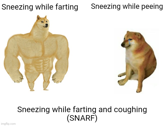 You rookie | Sneezing while farting; Sneezing while peeing; Sneezing while farting and coughing
(SNARF) | image tagged in sneezing,farting,coughing,pain,snarf | made w/ Imgflip meme maker