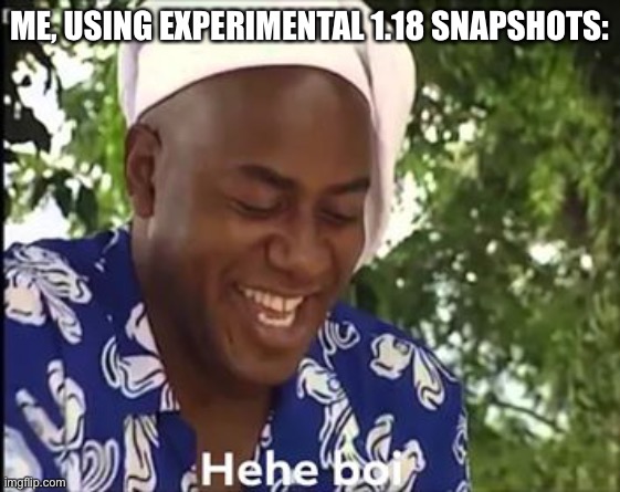 Hehe Boi | ME, USING EXPERIMENTAL 1.18 SNAPSHOTS: | image tagged in hehe boi | made w/ Imgflip meme maker