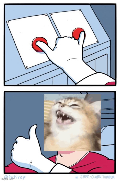 Both buttons pressed by a cat Blank Meme Template