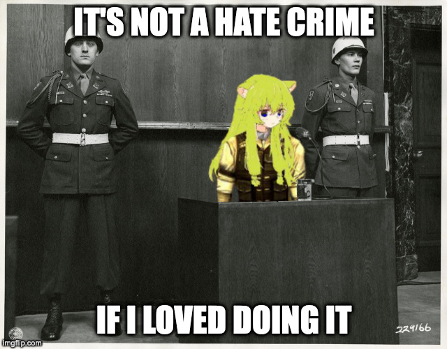 It's Not A Hate Crime | IT'S NOT A HATE CRIME; IF I LOVED DOING IT | image tagged in world war 2,trill bread,shitpost,fun | made w/ Imgflip meme maker