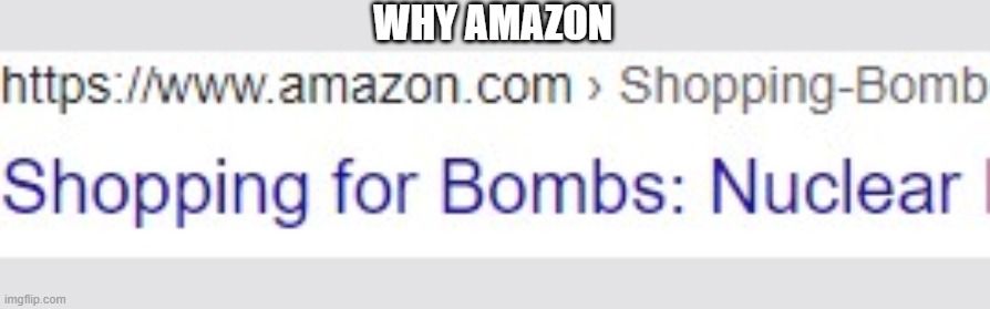 amazon delivery | WHY AMAZON | image tagged in amazon,funny,what,facepalm | made w/ Imgflip meme maker