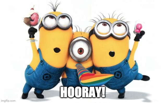 Minion party despicable me | HOORAY! | image tagged in minion party despicable me | made w/ Imgflip meme maker