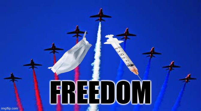 FREEDOM | FREEDOM | image tagged in freedom,red white and blue,no,constitution,rights,god wins | made w/ Imgflip meme maker