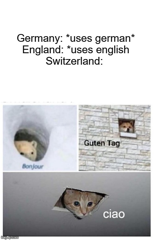 random thing | Germany: *uses german*
England: *uses english
Switzerland: | image tagged in random useless fact of the day,german,something,this is useless,so true memes,oh wow are you actually reading these tags | made w/ Imgflip meme maker