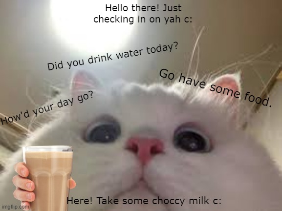 Awe | Hello there! Just checking in on yah c:; Did you drink water today? Go have some food. How'd your day go? Here! Take some choccy milk c: | image tagged in memes,cute cat | made w/ Imgflip meme maker