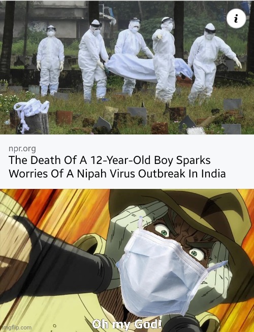 After COVID-19, now there is the NEW NIPAH VIRUS!!!!! | image tagged in jojo oh my god,nipah,virus,oh no,we're all doomed,memes | made w/ Imgflip meme maker