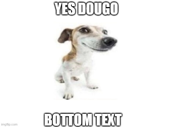 Blank White Template | YES DOUGO; BOTTOM TEXT | image tagged in blank white template | made w/ Imgflip meme maker