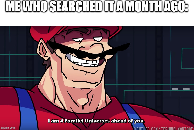 Mario I am four parallel universes ahead of you | ME WHO SEARCHED IT A MONTH AGO: | image tagged in mario i am four parallel universes ahead of you | made w/ Imgflip meme maker