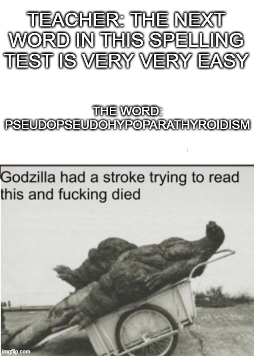 yes, godzilla is in my class | TEACHER: THE NEXT WORD IN THIS SPELLING TEST IS VERY VERY EASY; THE WORD: PSEUDOPSEUDOHYPOPARATHYROIDISM | image tagged in godzilla,spelling,dumb,annoying,oh wow are you actually reading these tags | made w/ Imgflip meme maker