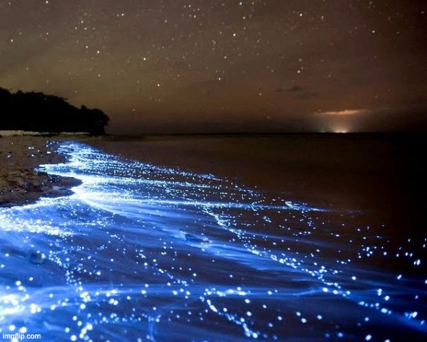 Bioluminescent Waves | image tagged in amazing,unfunny | made w/ Imgflip meme maker