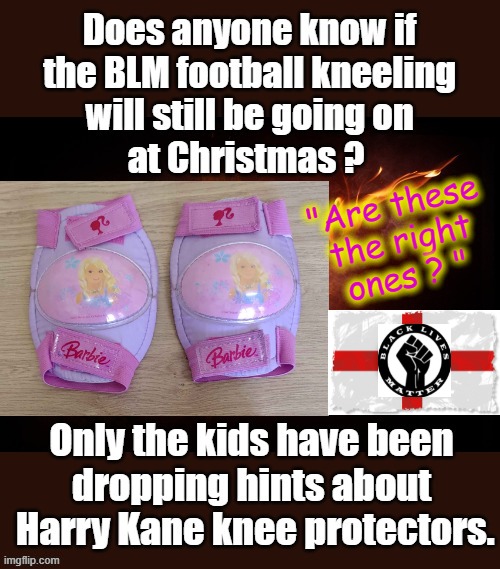 Knee Protectors | "Are these
the right
ones ? " | image tagged in blm | made w/ Imgflip meme maker