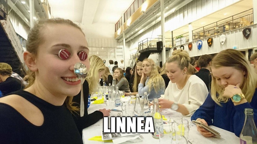 Linnea | LINNEA | image tagged in linnea | made w/ Imgflip meme maker