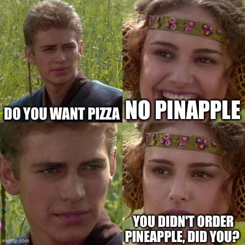 Why | DO YOU WANT PIZZA; NO PINAPPLE; YOU DIDN'T ORDER PINEAPPLE, DID YOU? | image tagged in anakin padme 4 panel,joke | made w/ Imgflip meme maker