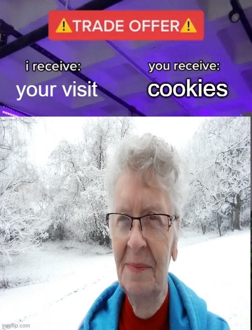 Meme | your visit; cookies | image tagged in trade offer | made w/ Imgflip meme maker