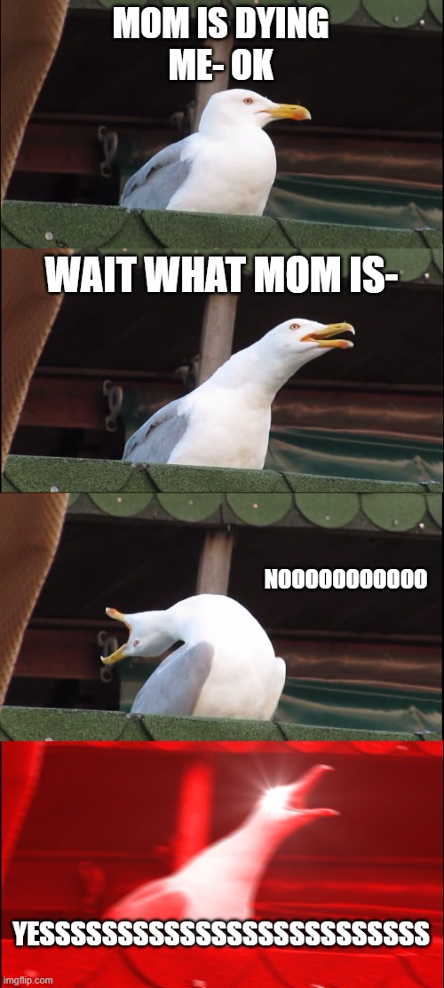 Inhaling Seagull | MOM IS DYING
ME- OK; WAIT WHAT MOM IS-; NOOOOOOOOOOO; YESSSSSSSSSSSSSSSSSSSSSSSSS | image tagged in memes,inhaling seagull | made w/ Imgflip meme maker