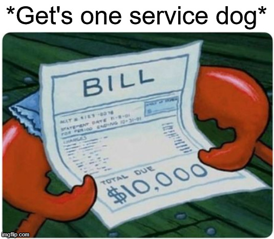 *Get's one service dog* | image tagged in service dog,mr krabs,bill | made w/ Imgflip meme maker