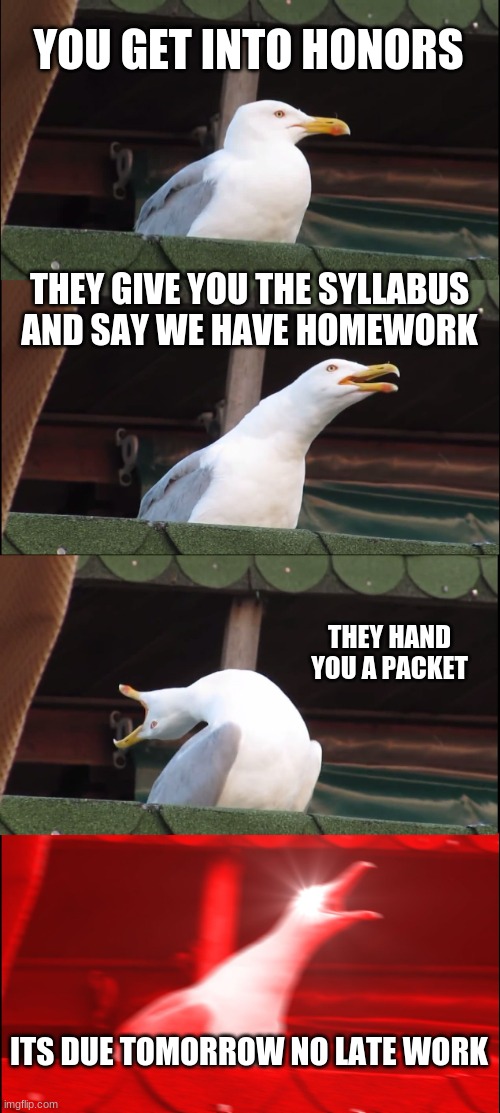 i'm lucky this isn't me | YOU GET INTO HONORS; THEY GIVE YOU THE SYLLABUS AND SAY WE HAVE HOMEWORK; THEY HAND YOU A PACKET; ITS DUE TOMORROW NO LATE WORK | image tagged in memes,inhaling seagull | made w/ Imgflip meme maker