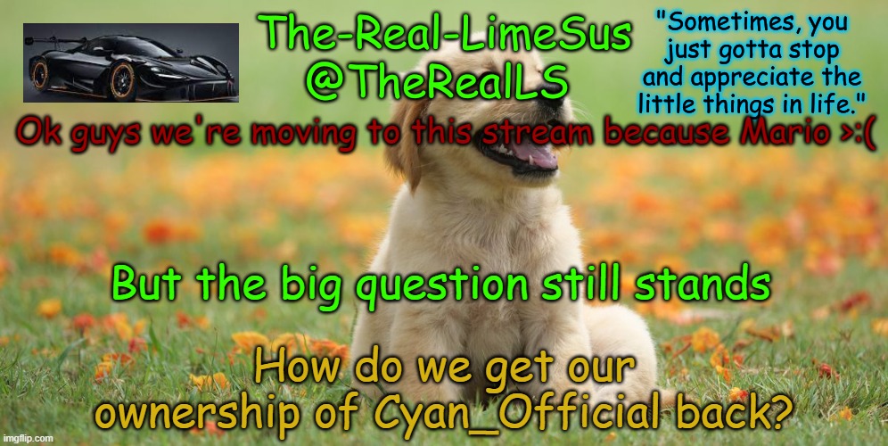 He can't get away with stealing our mods (Edit: if you follow him, unfollow him) | Ok guys we're moving to this stream because Mario >:(; But the big question still stands; How do we get our ownership of Cyan_Official back? | image tagged in limesus doggo announcement temp v1 4 | made w/ Imgflip meme maker